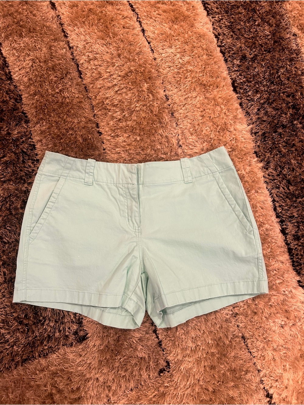 Light Mint Women’s Casual Shorts